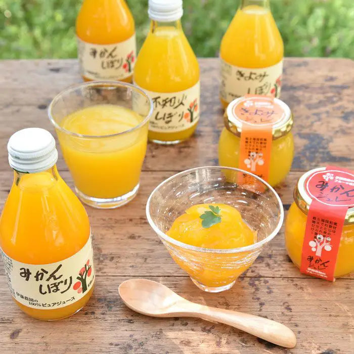 伊藤農園　１００％ピュアジュース＆ジュレセット
