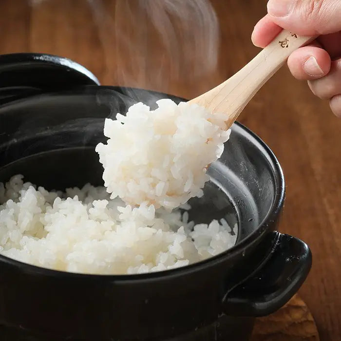 雪温精法　新潟県産新之助４ｋｇ