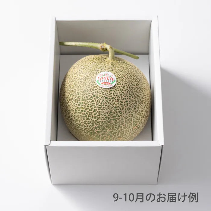 ホシフルーツ　おまかせ旬のフルーツＢＯＸ　ＡＮ