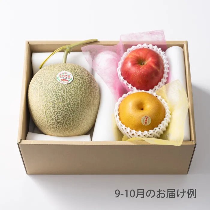 ホシフルーツ　おまかせ旬のフルーツＢＯＸ　ＢＮ