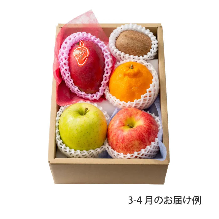 ホシフルーツ おまかせ旬のフルーツＢＯＸ Ｂ【産地直送品・送料込み】