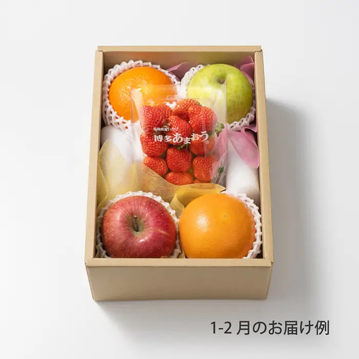 ホシフルーツ おまかせ旬のフルーツＢＯＸ Ｂ【産地直送品・送料込み】