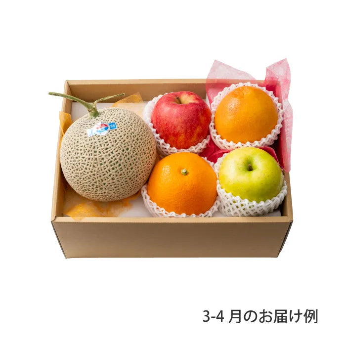 ホシフルーツ おまかせ旬のフルーツＢＯＸ Ｃ【産地直送品・送料込み】