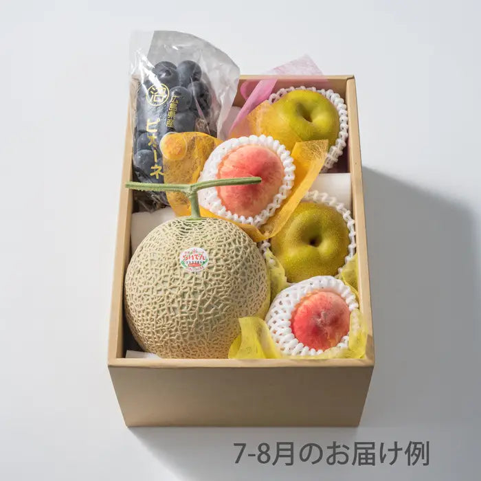 ホシフルーツ おまかせ旬のフルーツＢＯＸ Ｄ【産地直送品・送料込み】