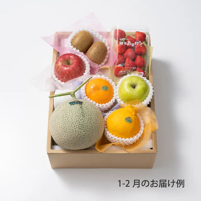 ホシフルーツ おまかせ旬のフルーツＢＯＸ Ｄ【産地直送品・送料込み】