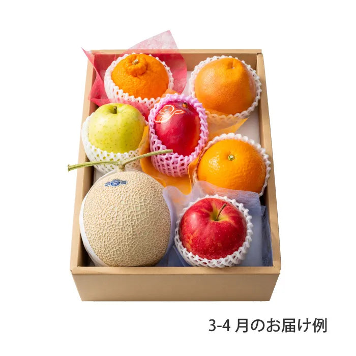 ホシフルーツ おまかせ旬のフルーツＢＯＸ Ｅ【産地直送品・送料込み】