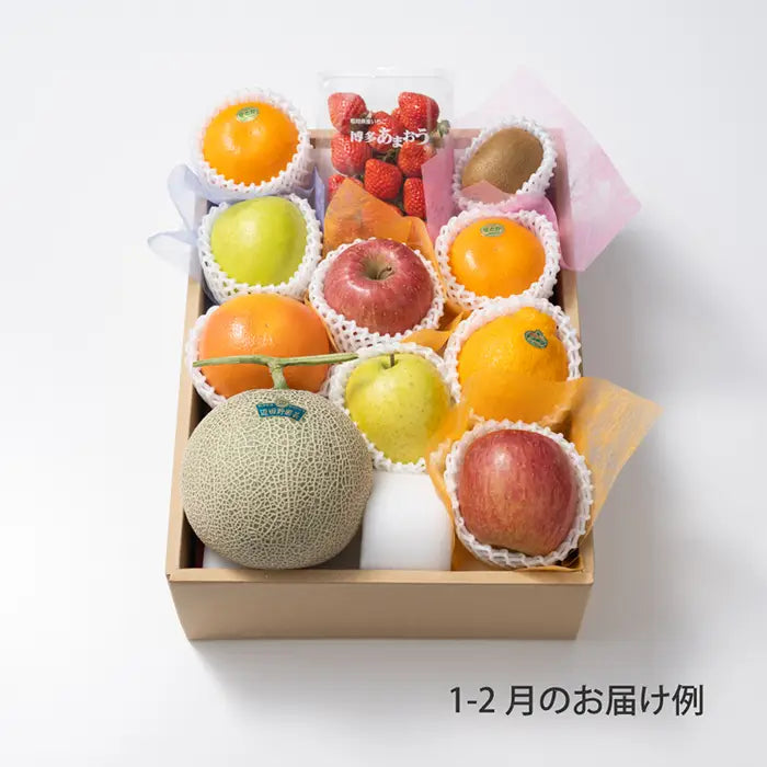 ホシフルーツ おまかせ旬のフルーツＢＯＸ Ｅ【産地直送品・送料込み】