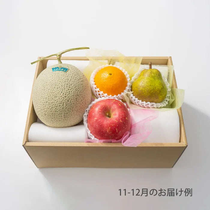 ホシフルーツ おまかせ旬のフルーツＢＯＸ Ｂ【産地直送品・送料込み】