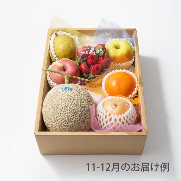 旬のフルーツBOXセット ホシフルーツ おまかせ旬のフルーツBOX D【送料込】｜お菓子