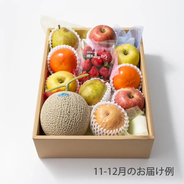 ホシフルーツ おまかせ旬のフルーツＢＯＸ Ｅ【産地直送品・送料込み】