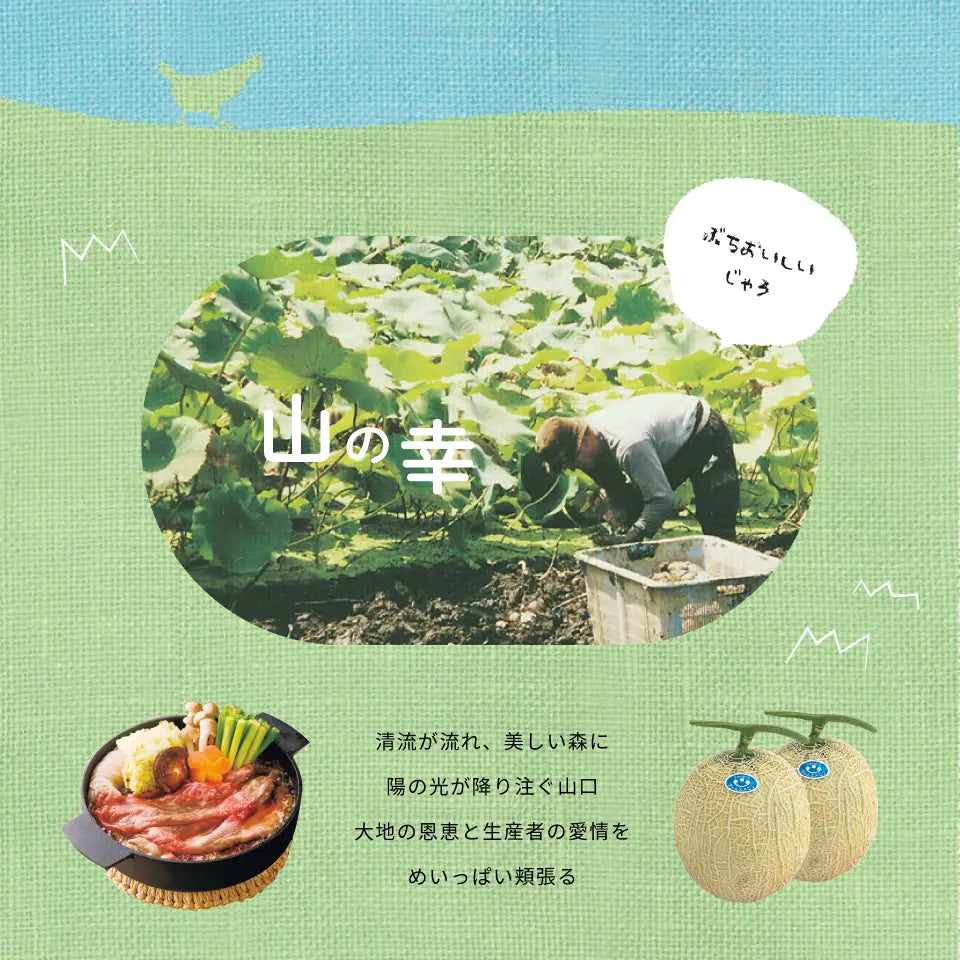 カタログギフト ぶちうま！山口 あかつき