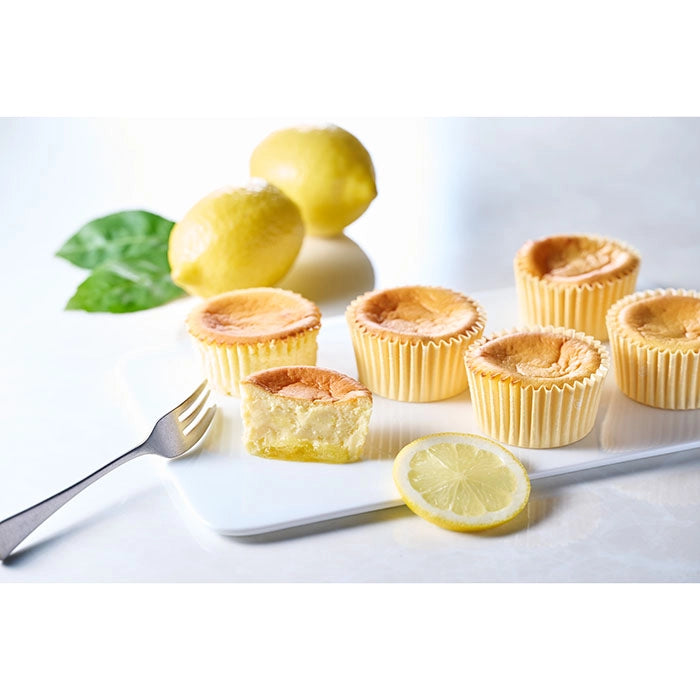 【母の日限定・送料込】ホシフルーツ　瀬戸内レモンチーズケーキ　６個【お届け日：5月7日（水）～10日（土）・着日指定不可】