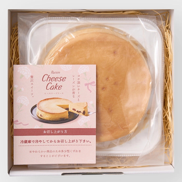 【母の日限定・送料込】ホシファーム　カーネーション＆大人のチーズケーキ【お届け日：5月7日（水）～10日（土）・着日指定不可】