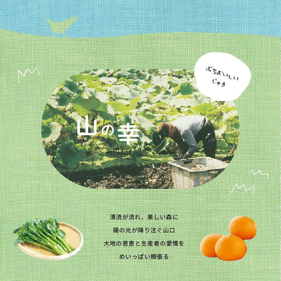 カタログギフト ぶちうま！山口 せせらぎ