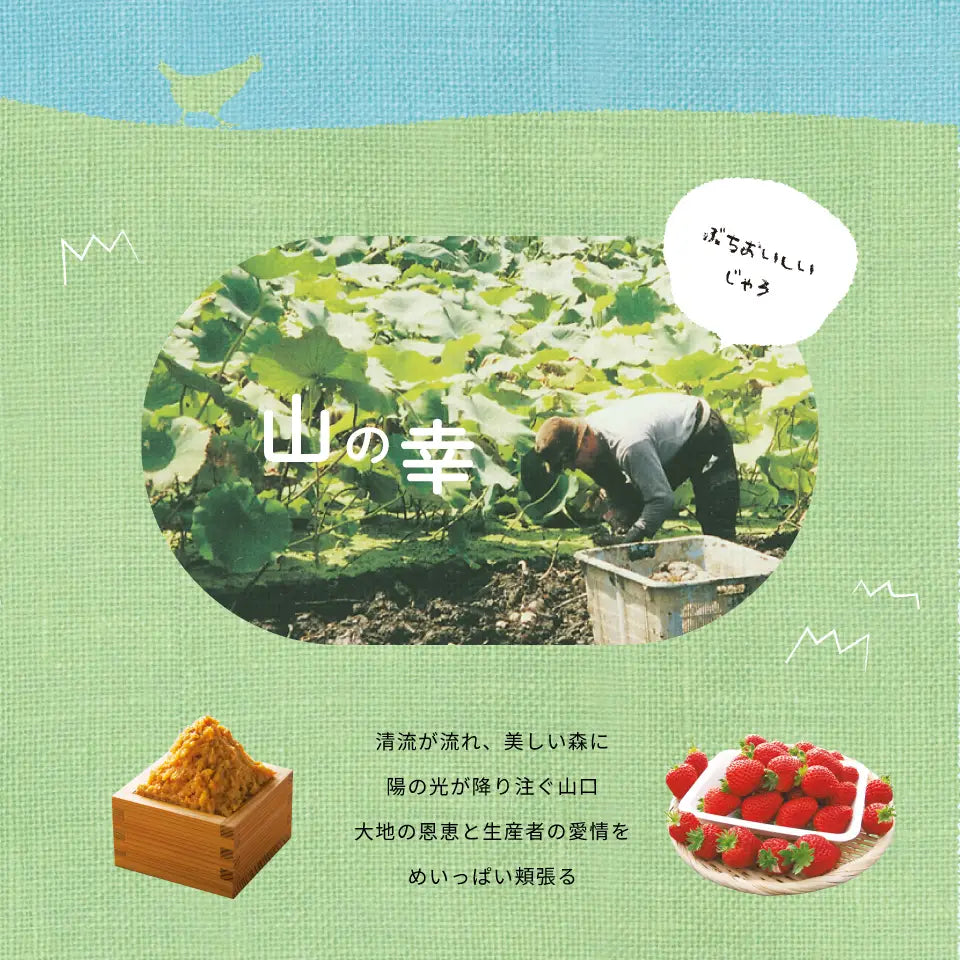 カタログギフト ぶちうま！山口 しおさい
