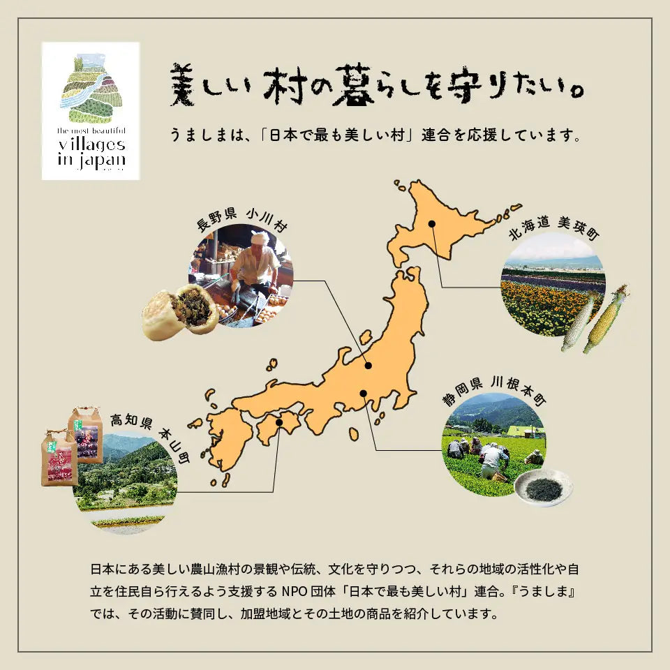 カタログギフト うましま〈凪〉