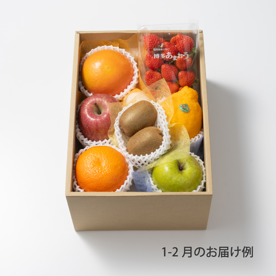 ホシフルーツ　おまかせ旬のフルーツＢＯＸ　Ｃ