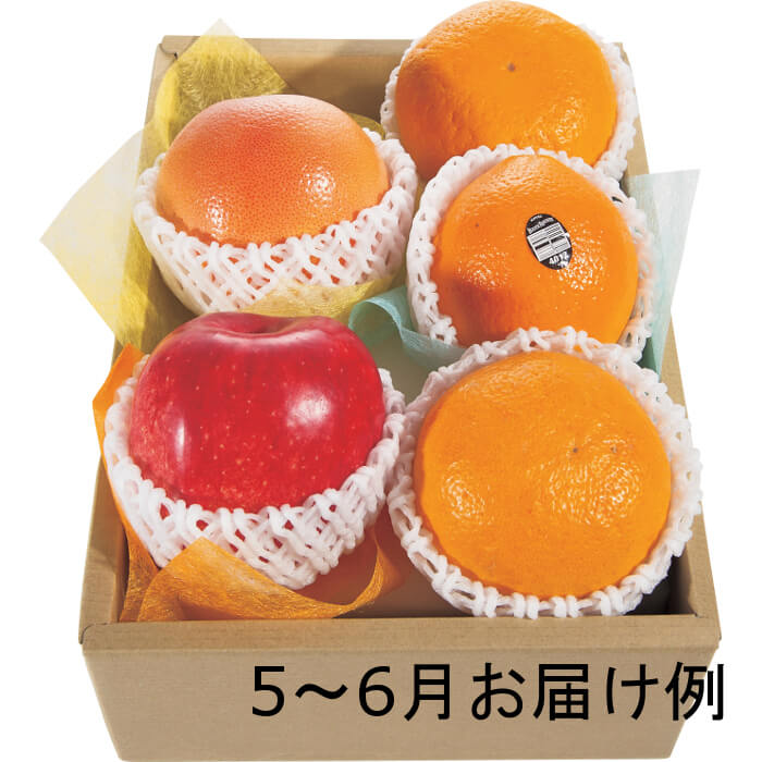 ホシフルーツ　おまかせ旬のフルーツBOX　B